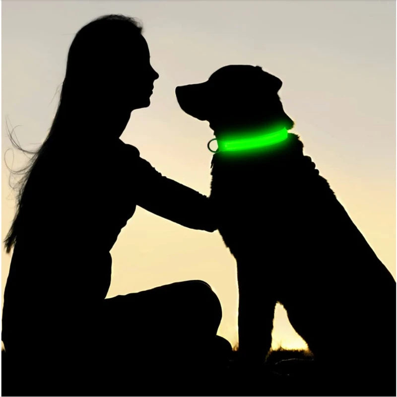 Collare luminoso a LED per cani