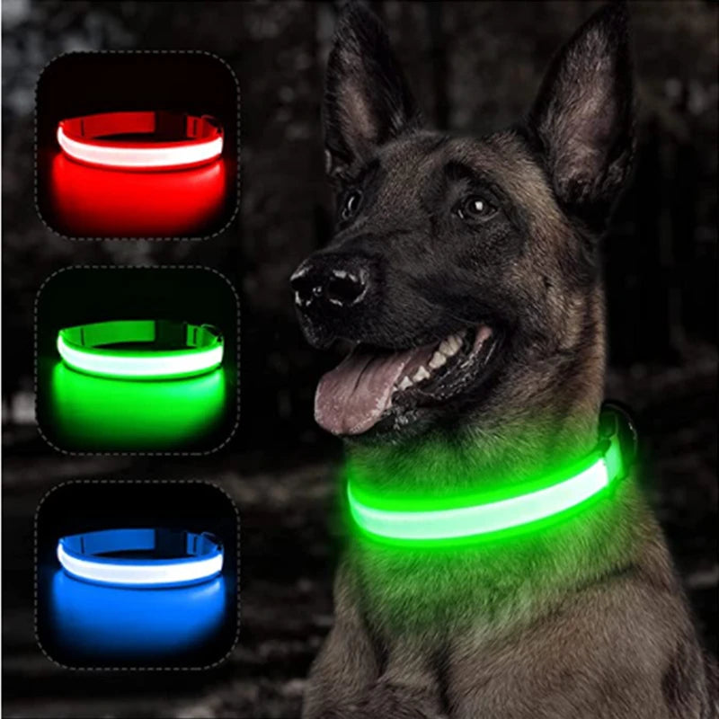 Collare luminoso a LED per cani