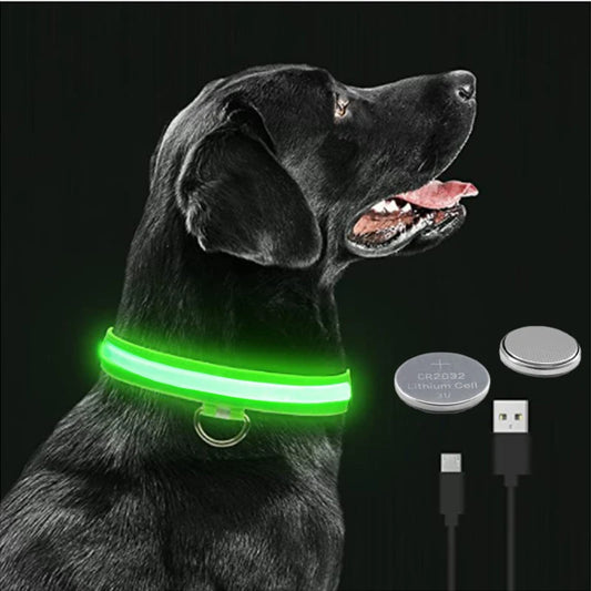 Collare luminoso a LED per cani