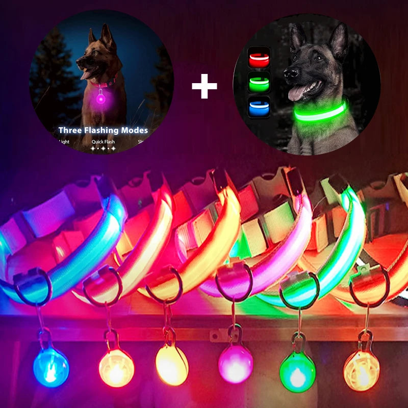 Collare luminoso a LED per cani