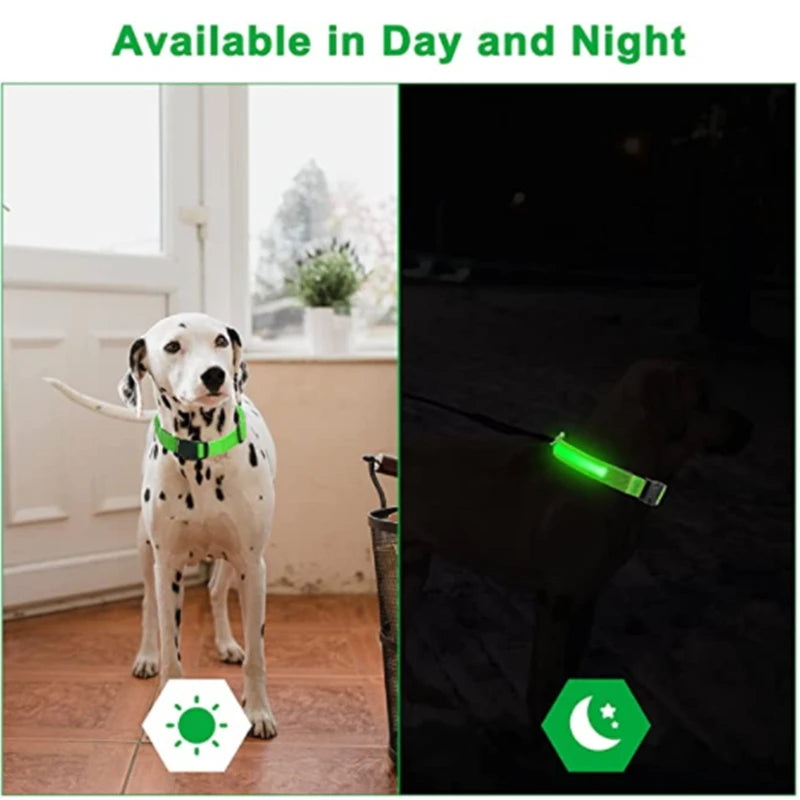 Collare luminoso a LED per cani