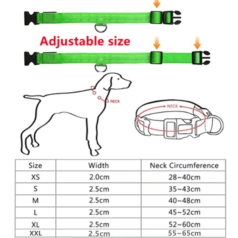 Collare luminoso a LED per cani